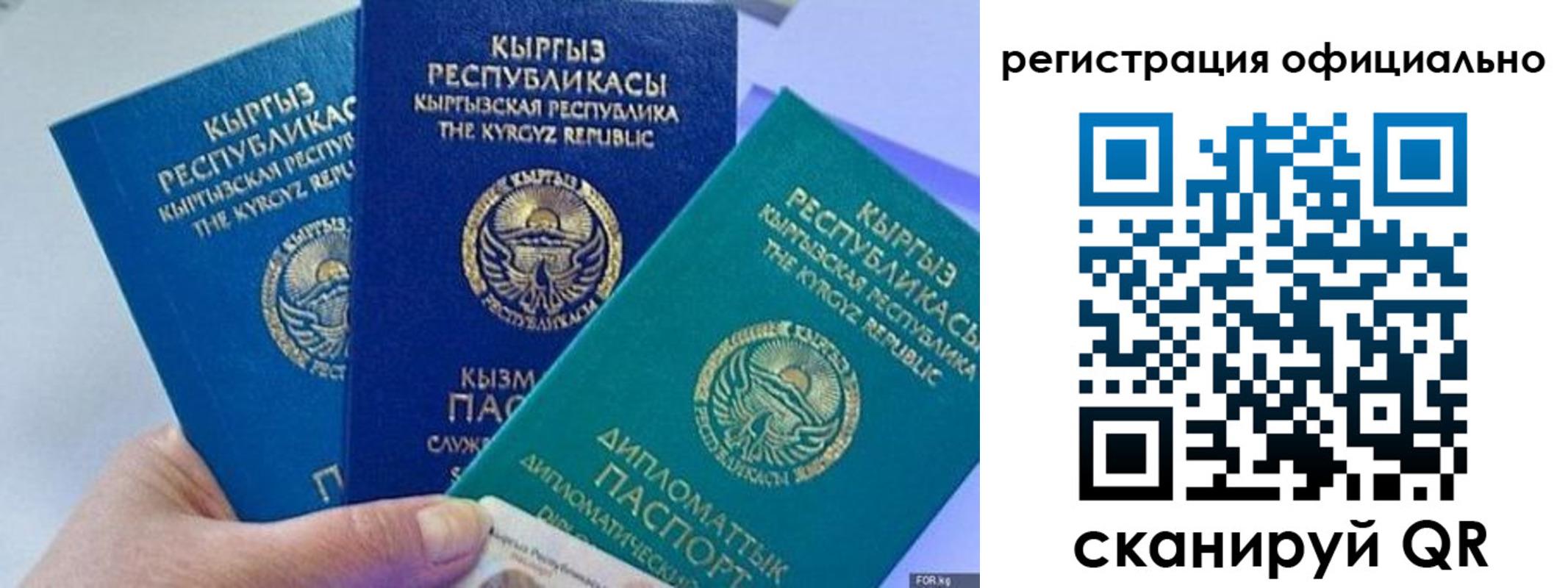 прописка в Медногорске